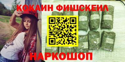 spice Кингисепп