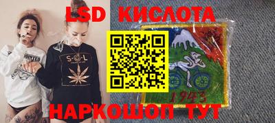 spice Кингисепп