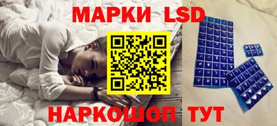 spice Кингисепп