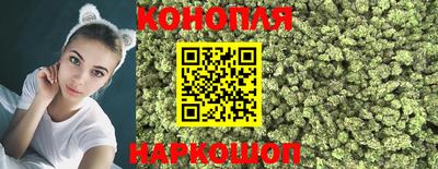 индика Кинель