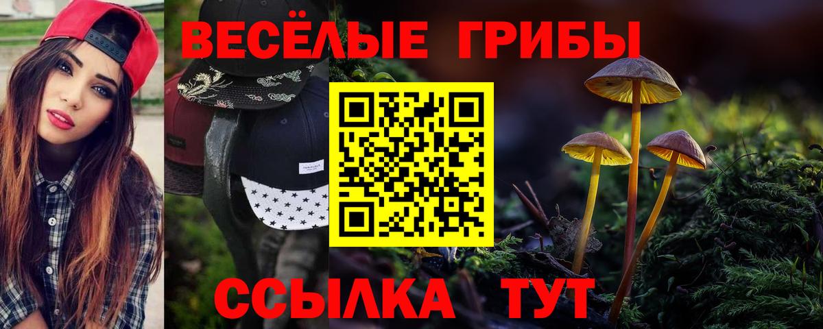 Галлюциногенные грибы мицелий Кстово